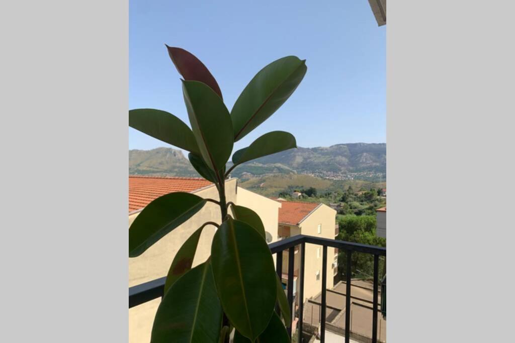 Casa Vacanza - I Mulini Con Parcheggio Gratuito Incluso. Monreale Exteriör bild